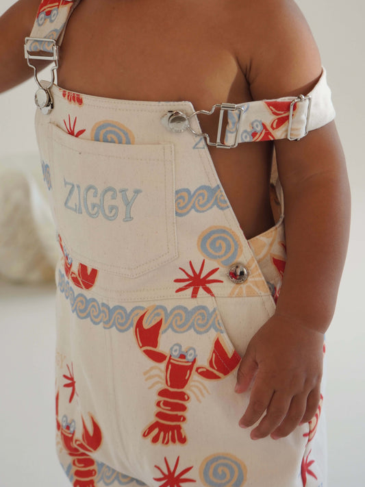 SHORT OVERALLS | COSTA - ZIGGY LOU FIESTA